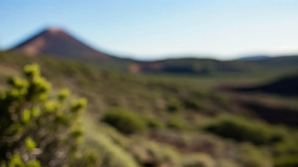 Imagen genérica de un distintivo de seguridad con el Parque Nacional del Teide de fondo.