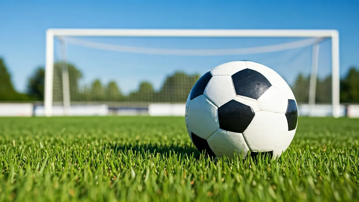 Imagen genérica de un balón de fútbol sobre césped, con la portería desenfocada al fondo.