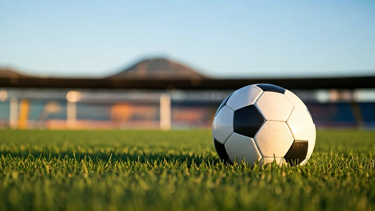 Generic image of a soccer ball on a stadium pitch.