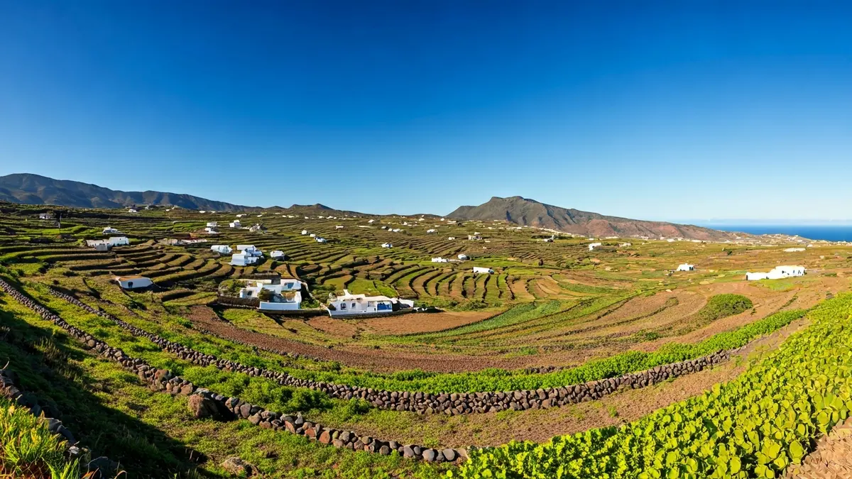 Imagen de un paisaje rural canario con casas blancas y campos en terrazas.