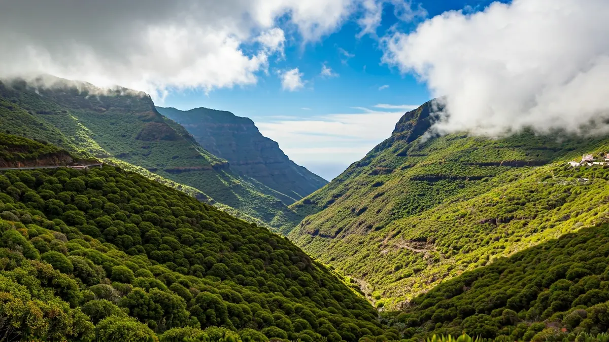 Green and humid landscape of Valleseco, Gran Canaria, with fog and dense vegetation.