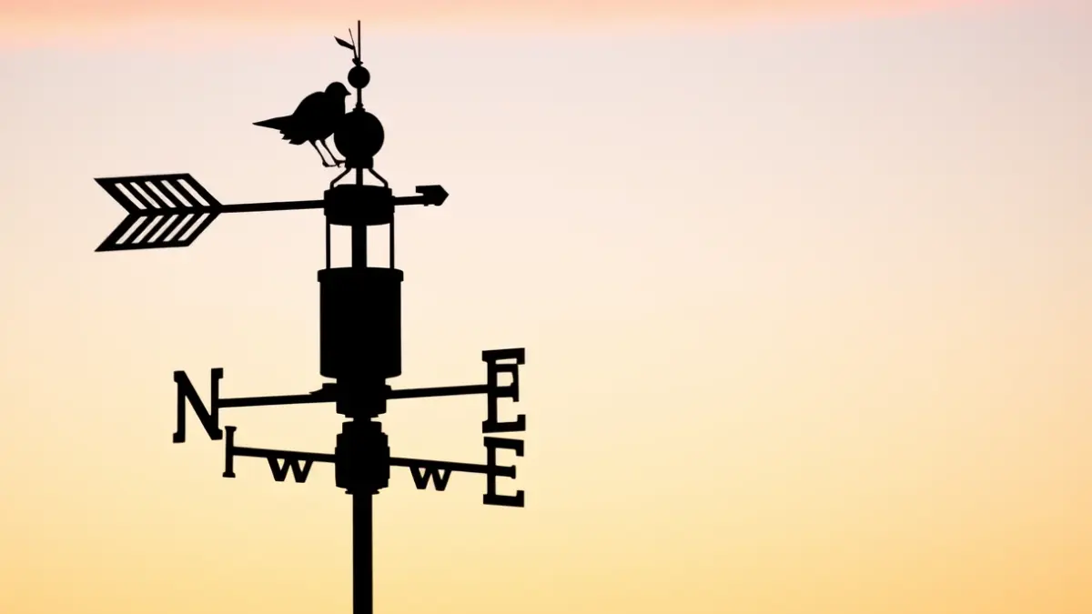 Generic image of a weather vane at dawn, symbolizing weather forecast.