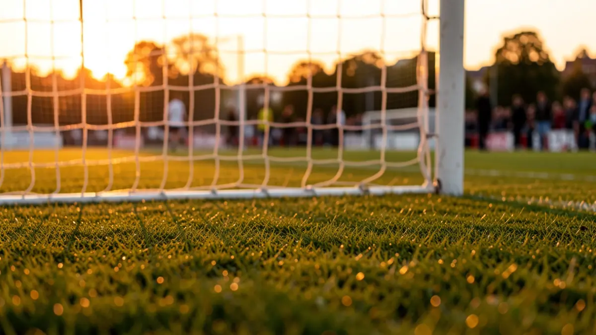 Generic image of a football pitch at sunset.