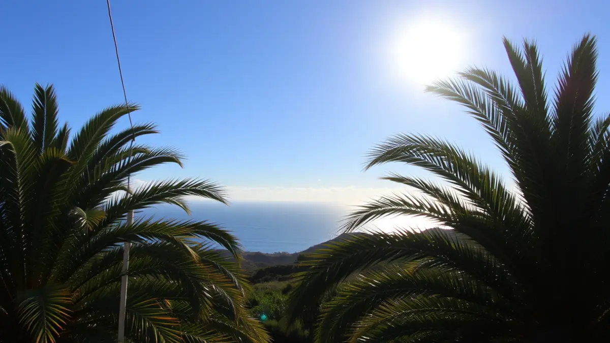 Imagen genérica de un día soleado y tranquilo en las Islas Canarias, con palmeras y el mar de fondo.