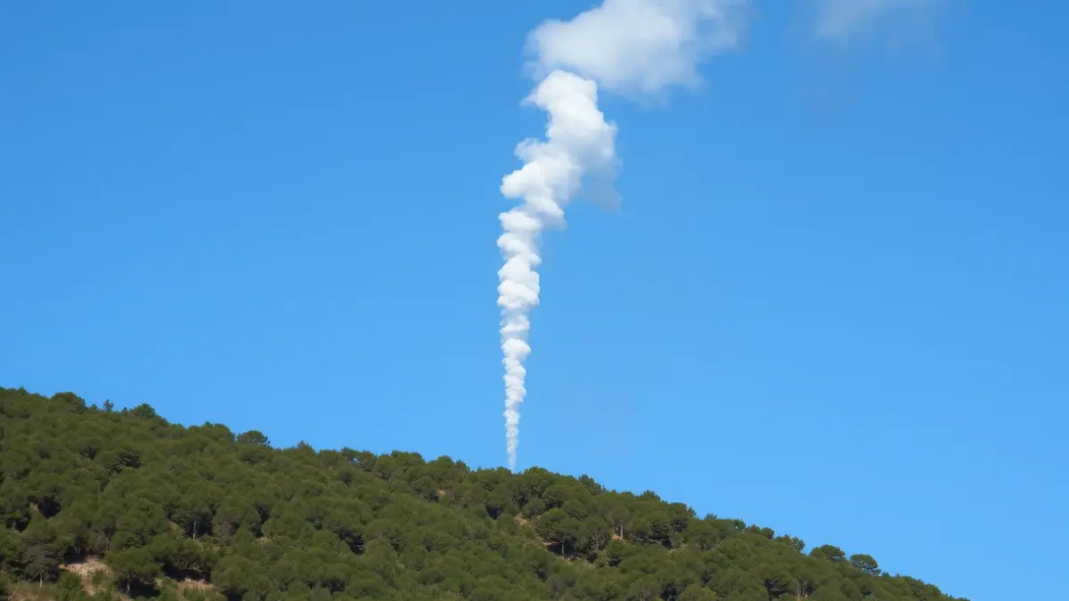 Imagen genérica de una columna de humo sobre un bosque.