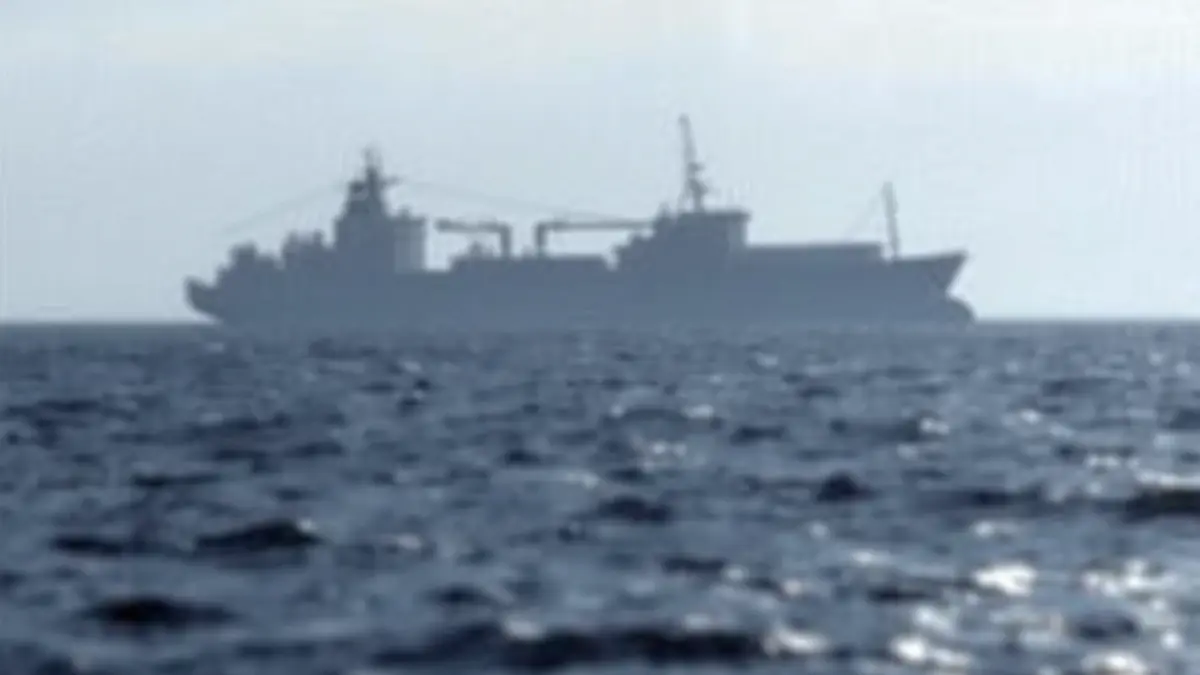 Image of a cargo ship at sea, silhouetted against the horizon.