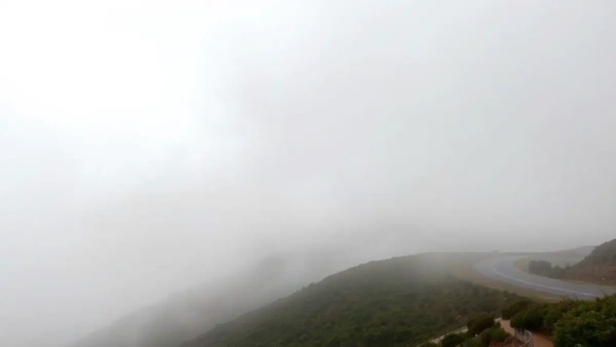 Image of a misty and humid mountain landscape in Vilaflor de Chasna, Tenerife.