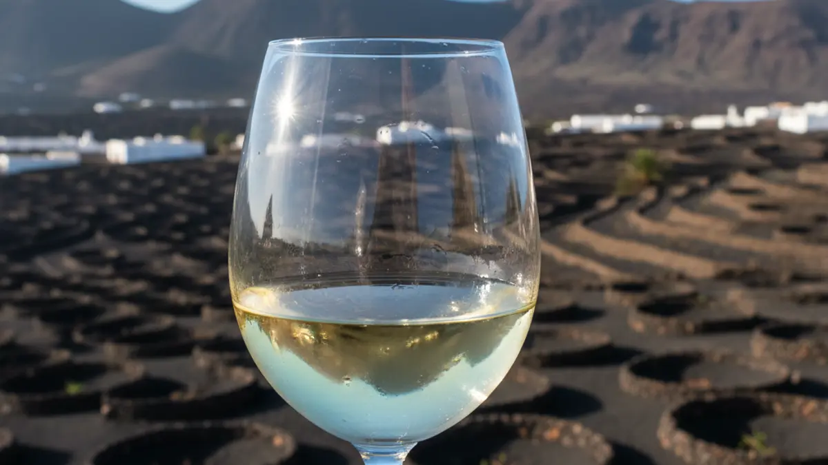 White wine glass with volcanic vineyards of Lanzarote in the background.