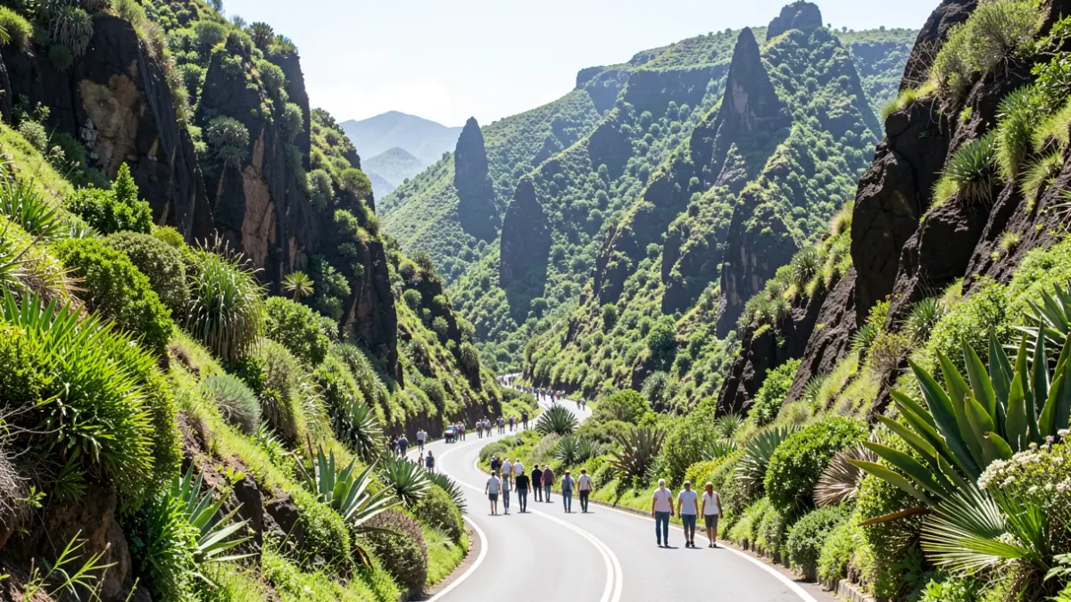 Imagen genérica de una carretera en un valle volcánico de Canarias con vegetación exuberante.