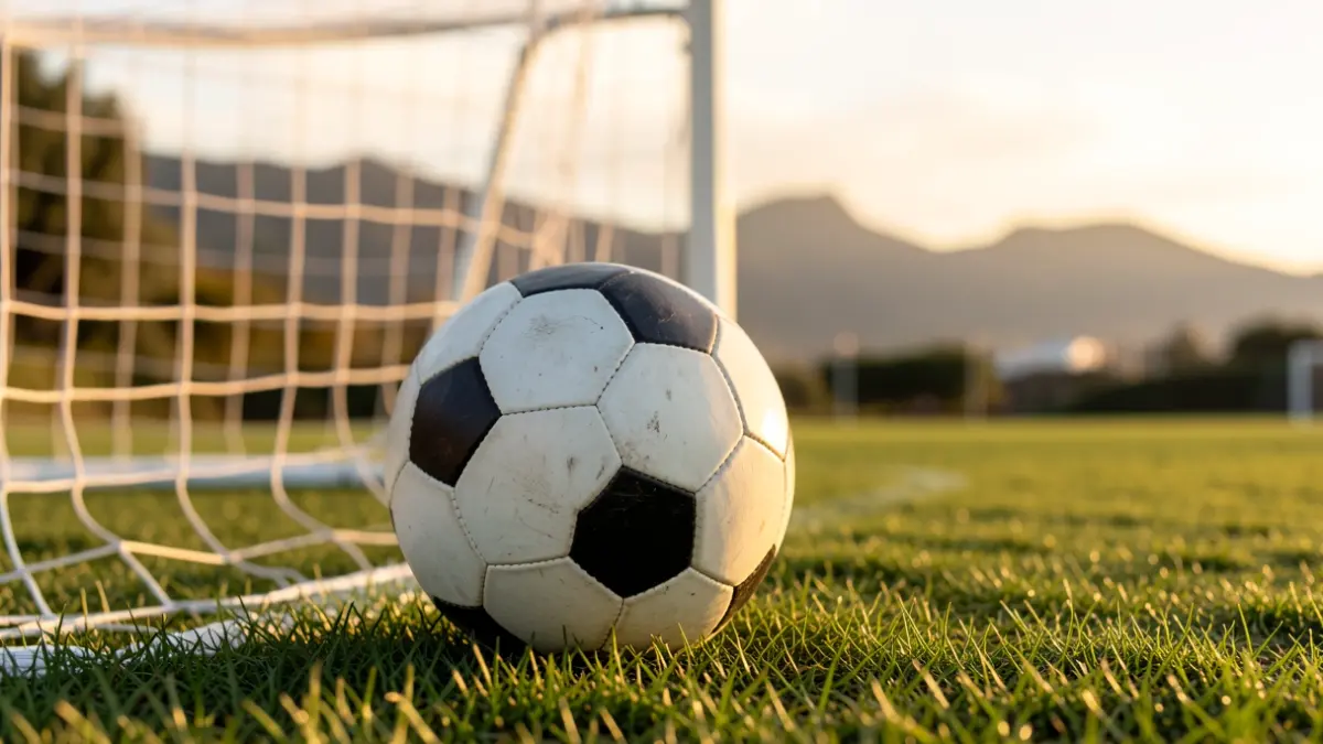 Generic image of a football on grass with a blurred goal net in the background.