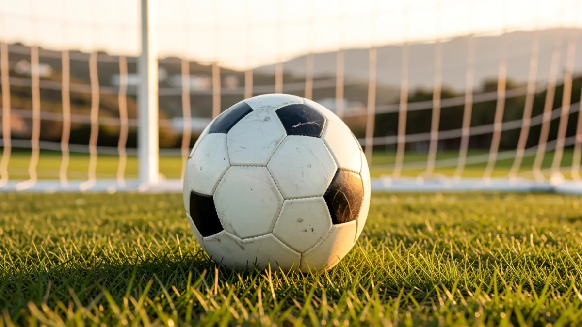 Generic image of a soccer ball on grass with a blurred goal net in the background.