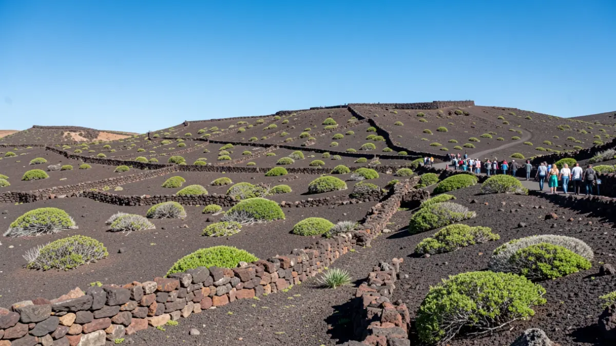 Generic image of Fuerteventura's volcanic landscape with stone walls.
