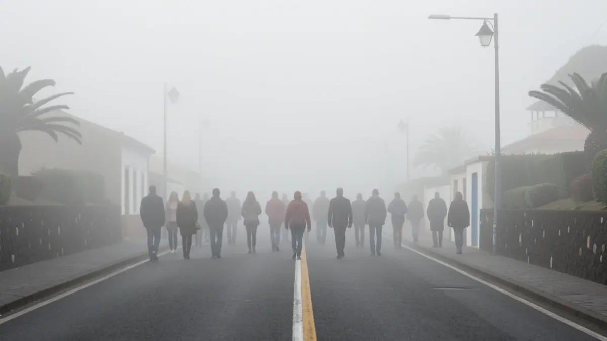 Niebla y bruma cubriendo una carretera en El Rosario durante las primeras horas de la mañana.