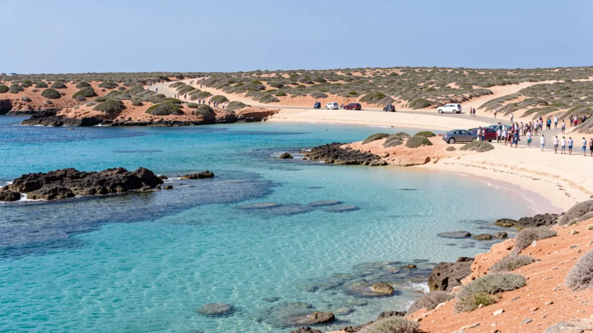 View of coves on the north coast of Fuerteventura with planned parking for sustainability.