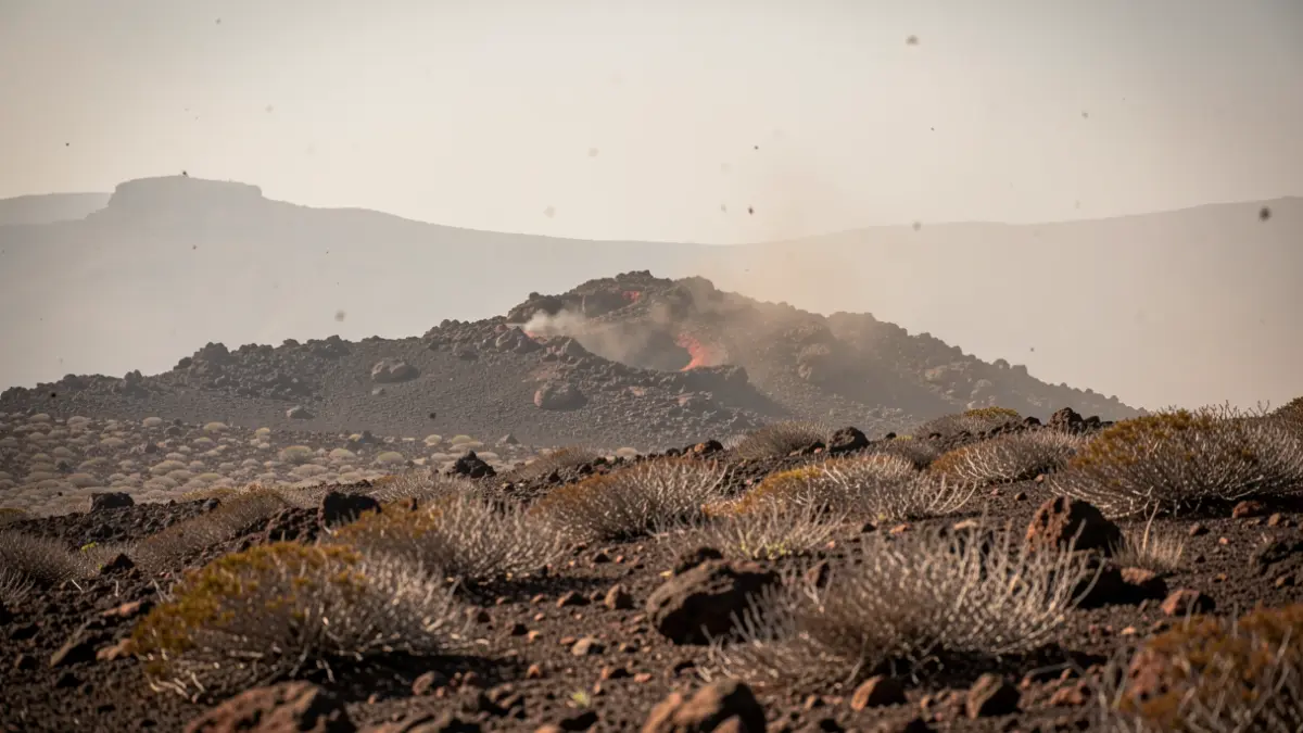 Volcanic landscape of Gran Canaria with dry vegetation and rocky terrain, under a hazy sky with dust particles.