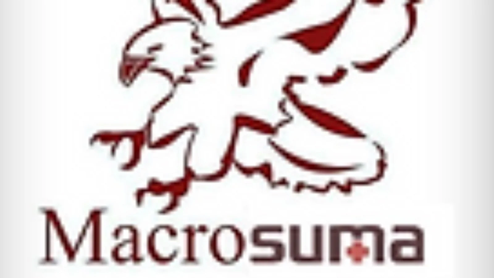 Macrosuma asesores considerada una de las mejores empresas del sector de las asesorías en Canarias