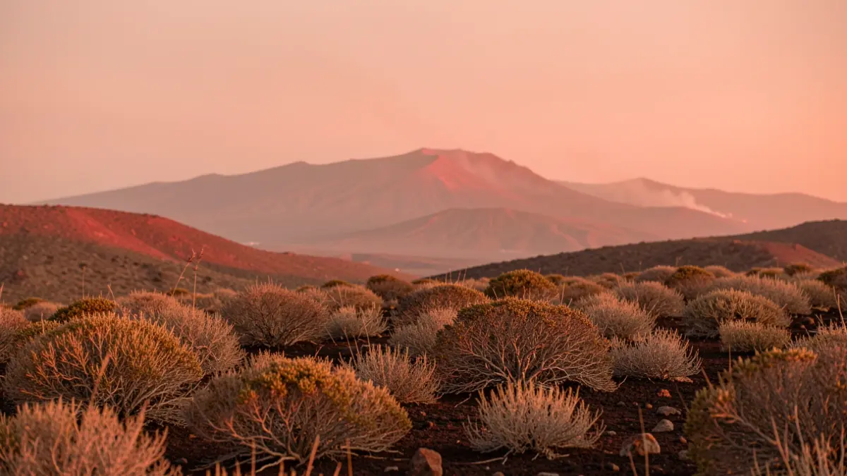 Volcanic landscape of the Canary Islands with dry vegetation and hazy sky, indicating fire risk.