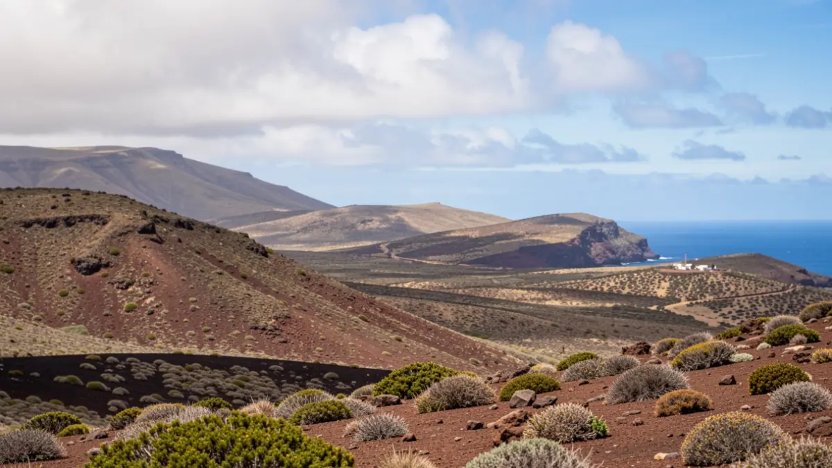 Paisaje canario con terreno volcánico y vegetación escasa bajo un cielo parcialmente nublado, representando una alerta meteorológica.