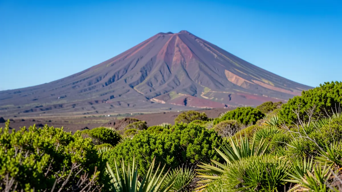 Canarian volcanic landscape with the Teide in the background and lush vegetation.