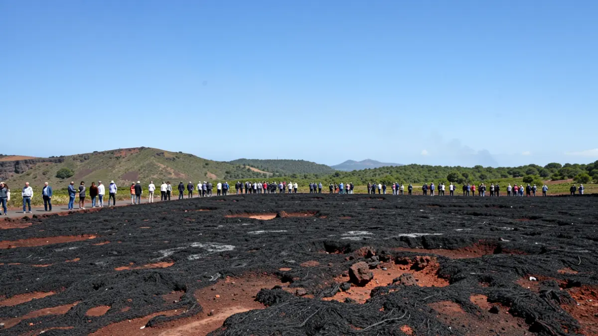 Volcanic landscape of the Canary Islands with burnt land and vegetation.