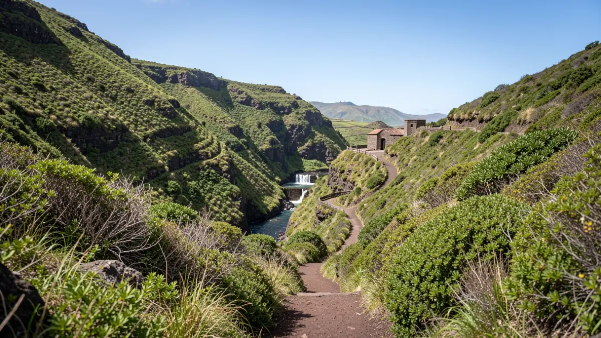 Paisaje del barranco de La Laja en La Gomera, con vegetación y el camino al Molino del Agua.