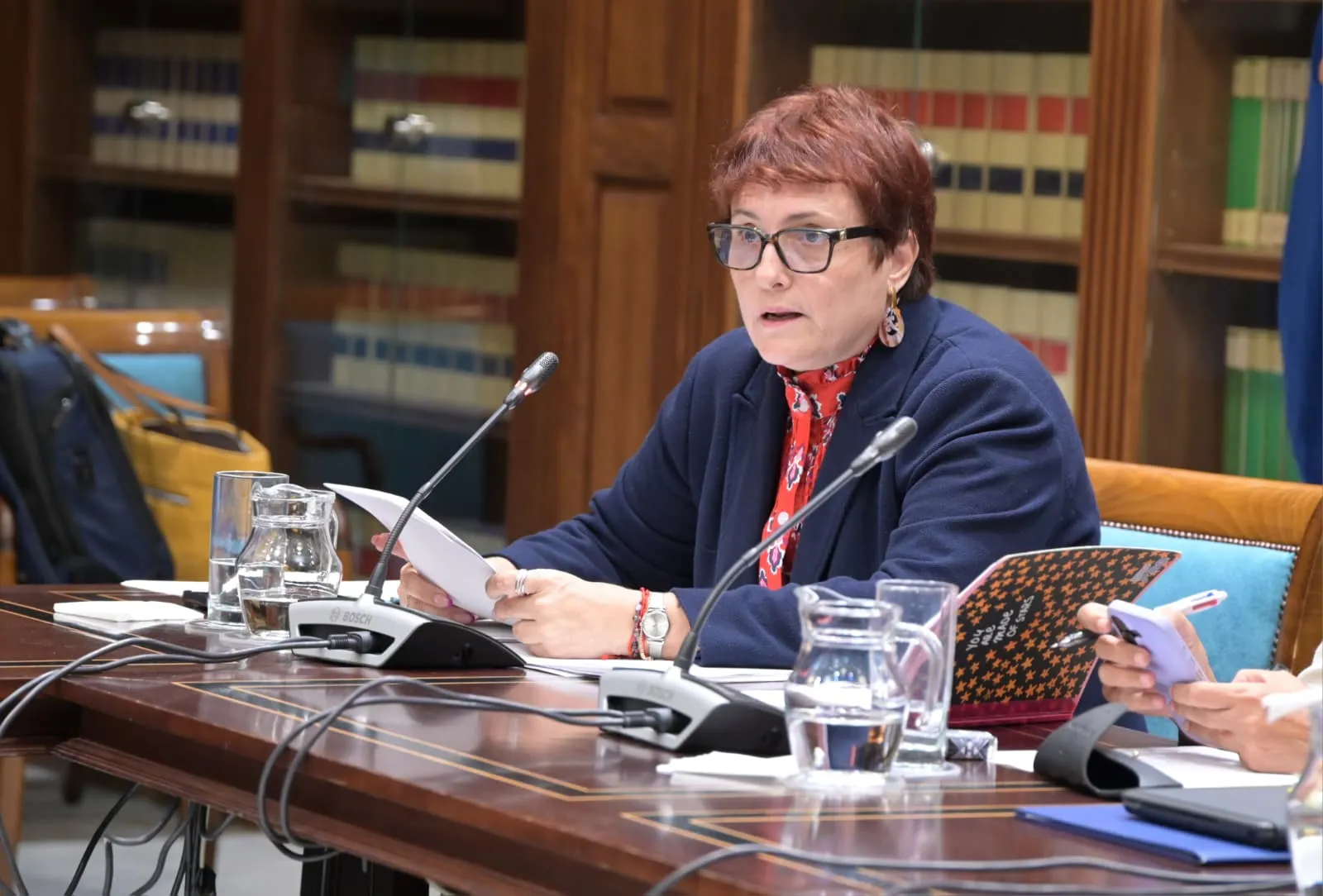 Candelaria Delgado en comisión parlamentaria