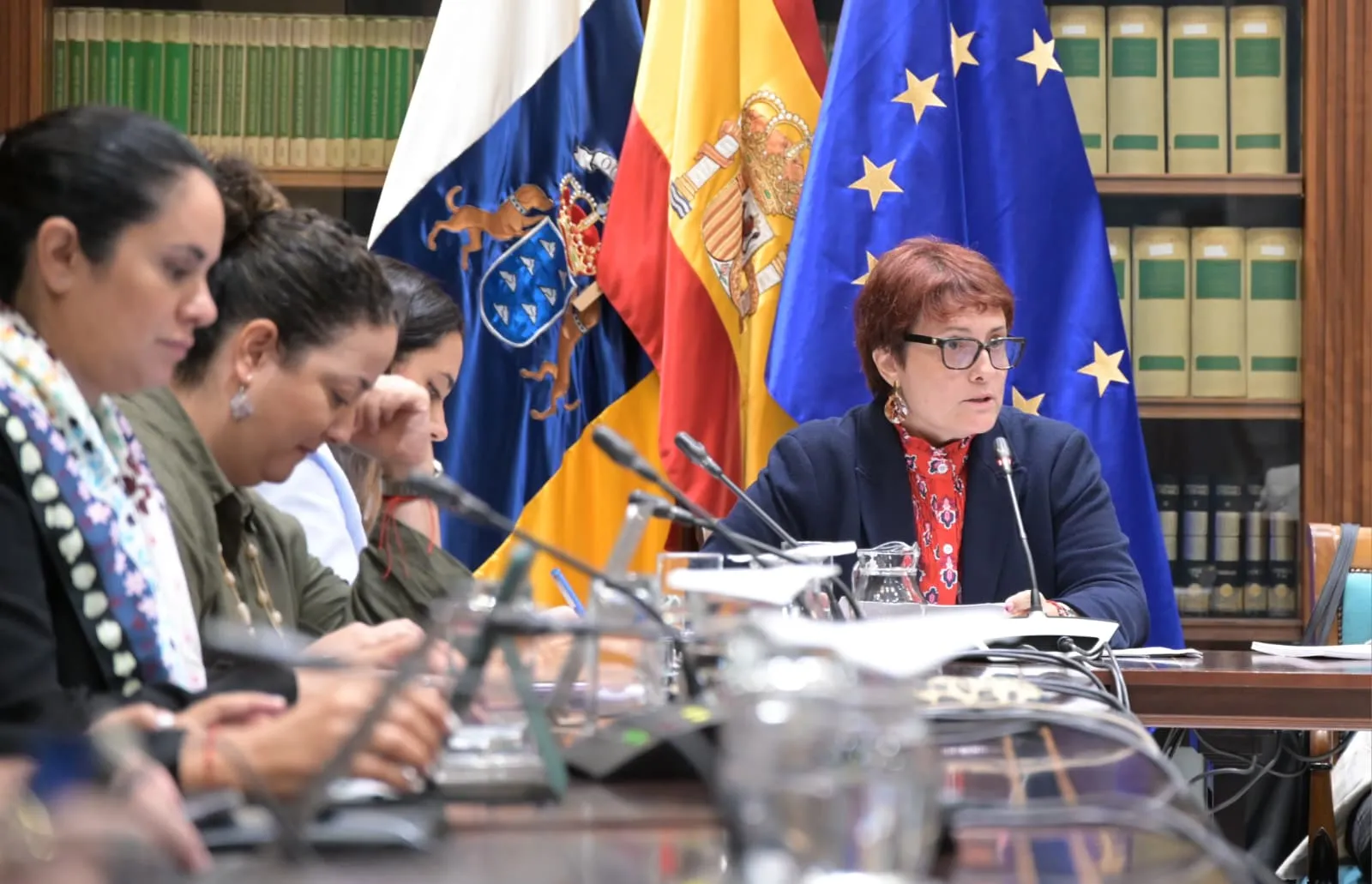 Candelaria Delgado Toledo en comisión parlamentaria