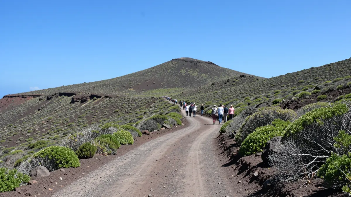 Generic image of a Canary Islands volcanic landscape with sparse vegetation and a dirt road, under a clear blue sky.