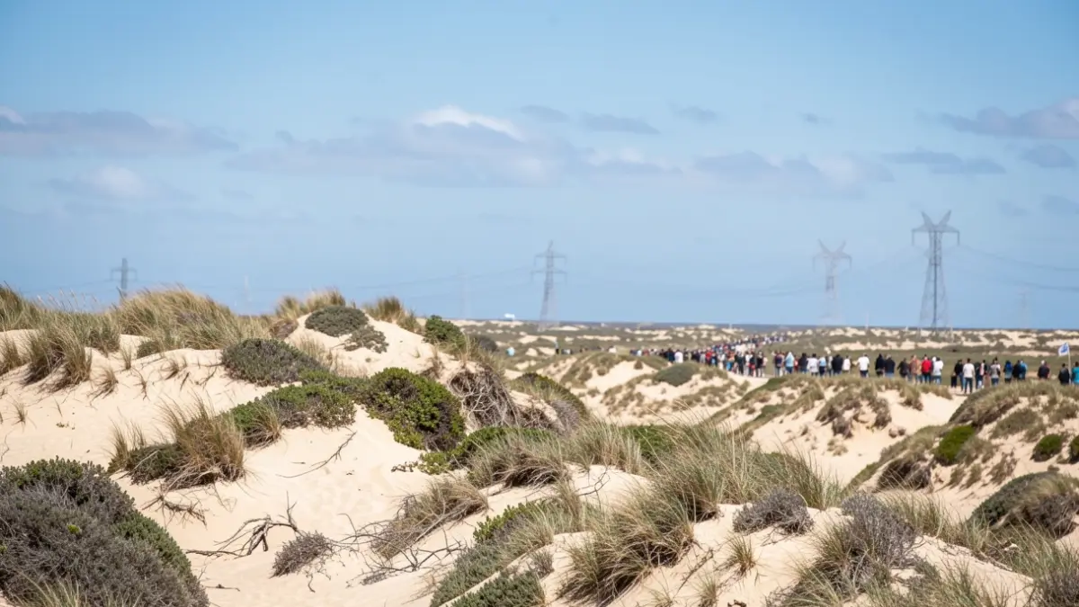 Imagen genérica de dunas de arena y vegetación escasa en un parque natural, con soportes de tendido eléctrico difuminados al fondo.