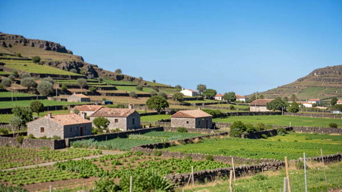 Generic image of a rural landscape in the Canary Islands with stone houses and green fields.